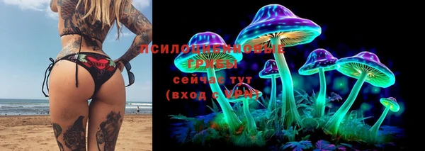 PSILOCYBIN Абинск