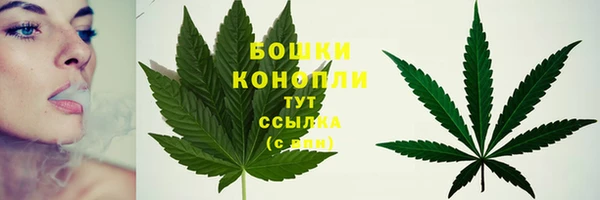 каннабис Нефтекумск