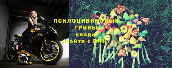 PSILOCYBIN Абинск