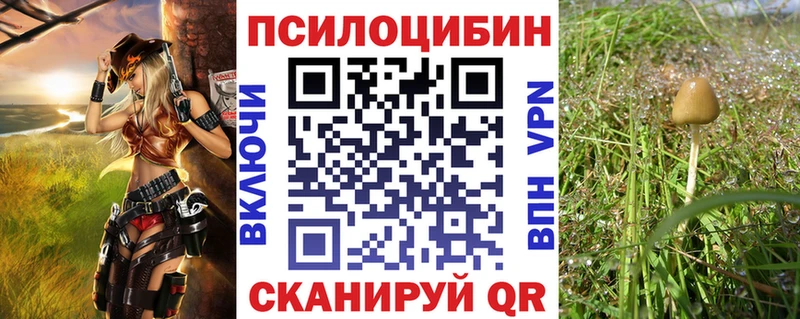 Галлюциногенные грибы Psilocybe Советск