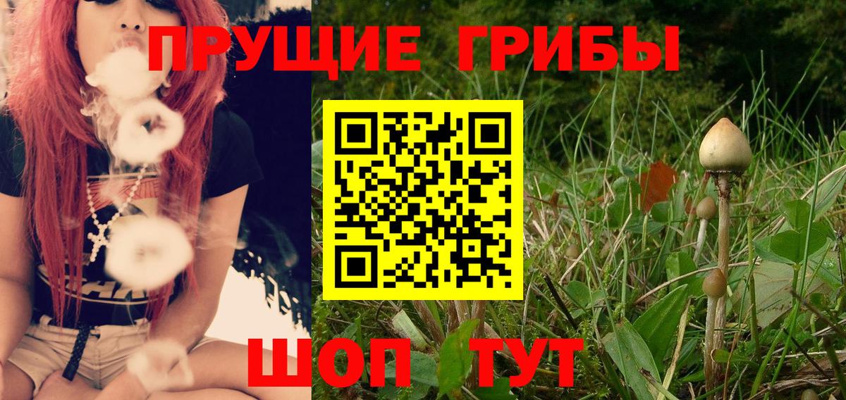 Псилоцибиновые грибы мухоморы Советск