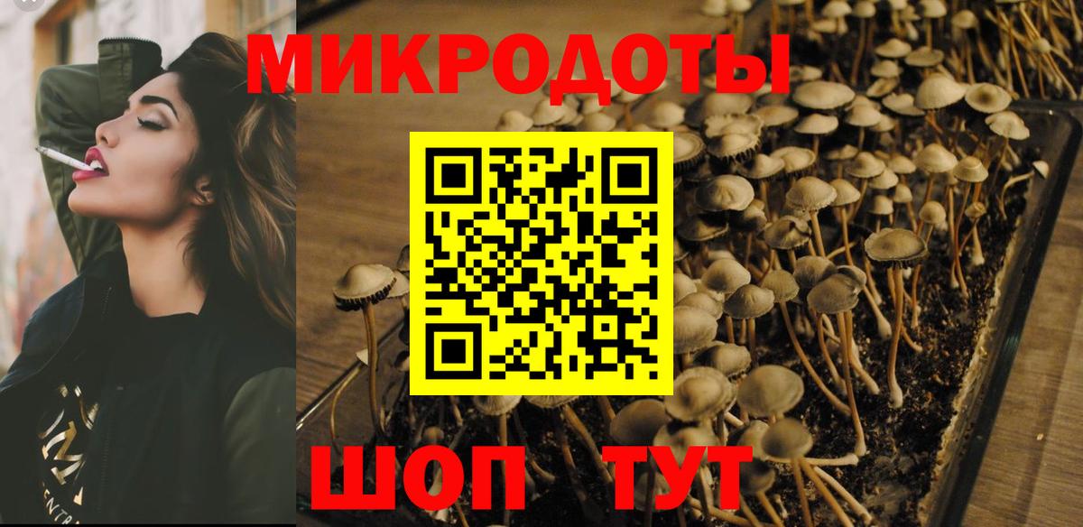Советск  Галлюциногенные грибы мухоморы  Вход с VPN 